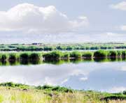 肇州天气预报15天