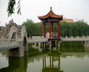 临城天气预报40天