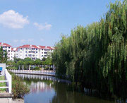 裕民天气预报30天