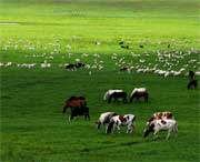 海北州天气预报30天