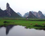 清远天气预报15天