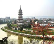 罗定天气预报15天